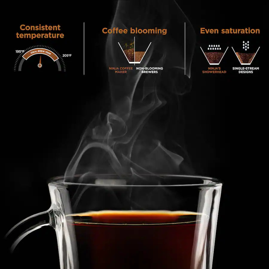 Ninja Hot and Iced XL Coffee Maker with Rapid Cold Brew, 12-Cup Drip Coffee Maker and Single-Serve Brewing - Black